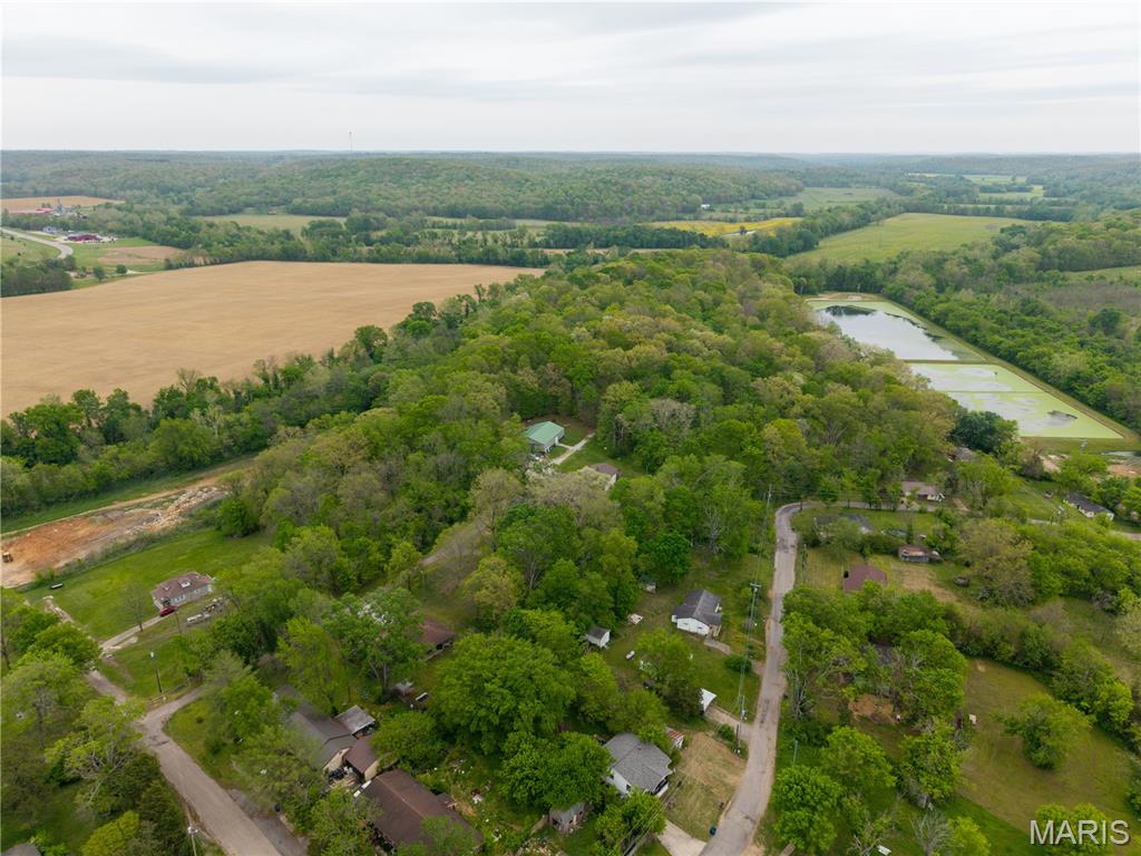 605 3rd Street Marble Hill, MO 63764 - Photo 42 of 44