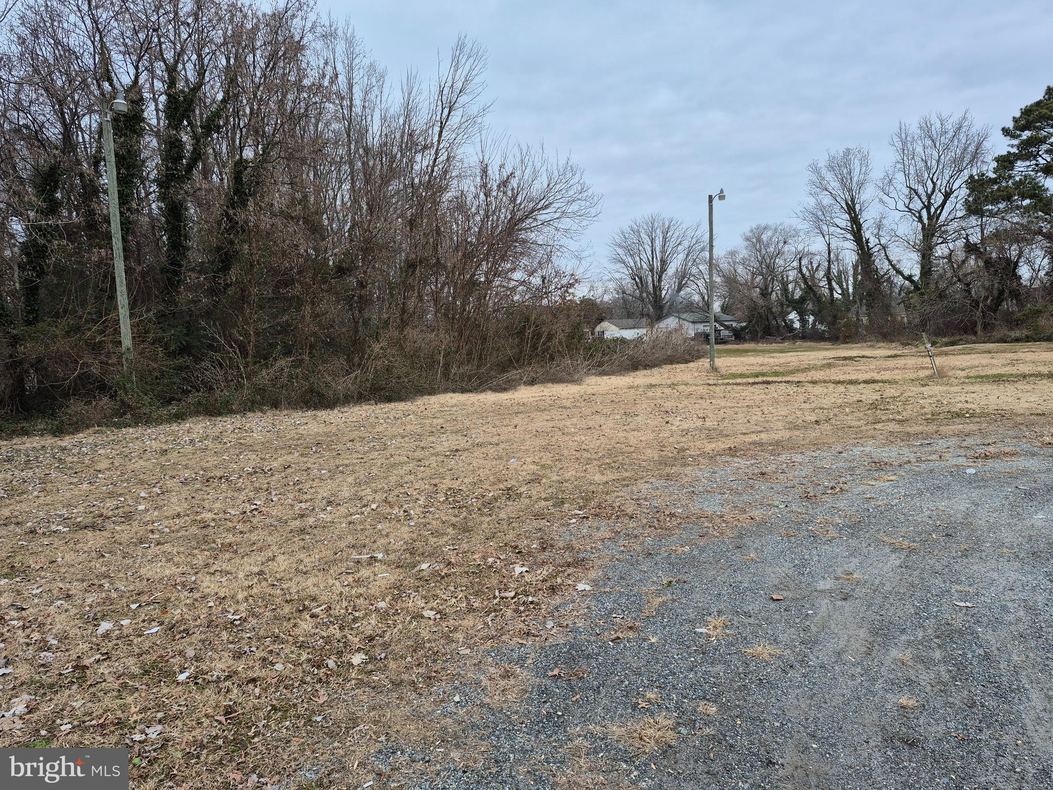 High Street Cambridge, MD 21613 - Photo 4 of 6 a view of empty yard