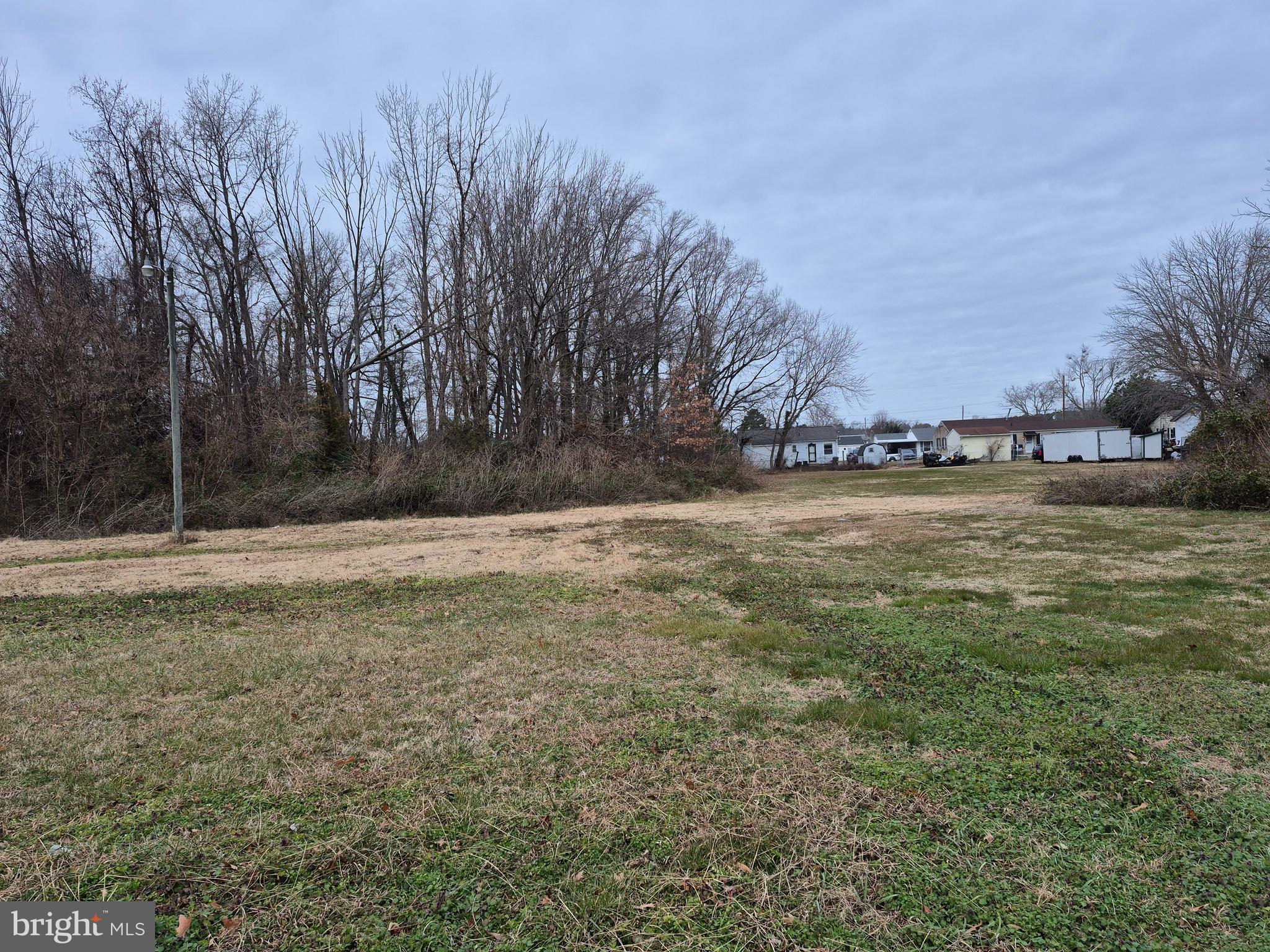 High Street Cambridge, MD 21613 - Photo 5 of 6 a view of a yard with a tree