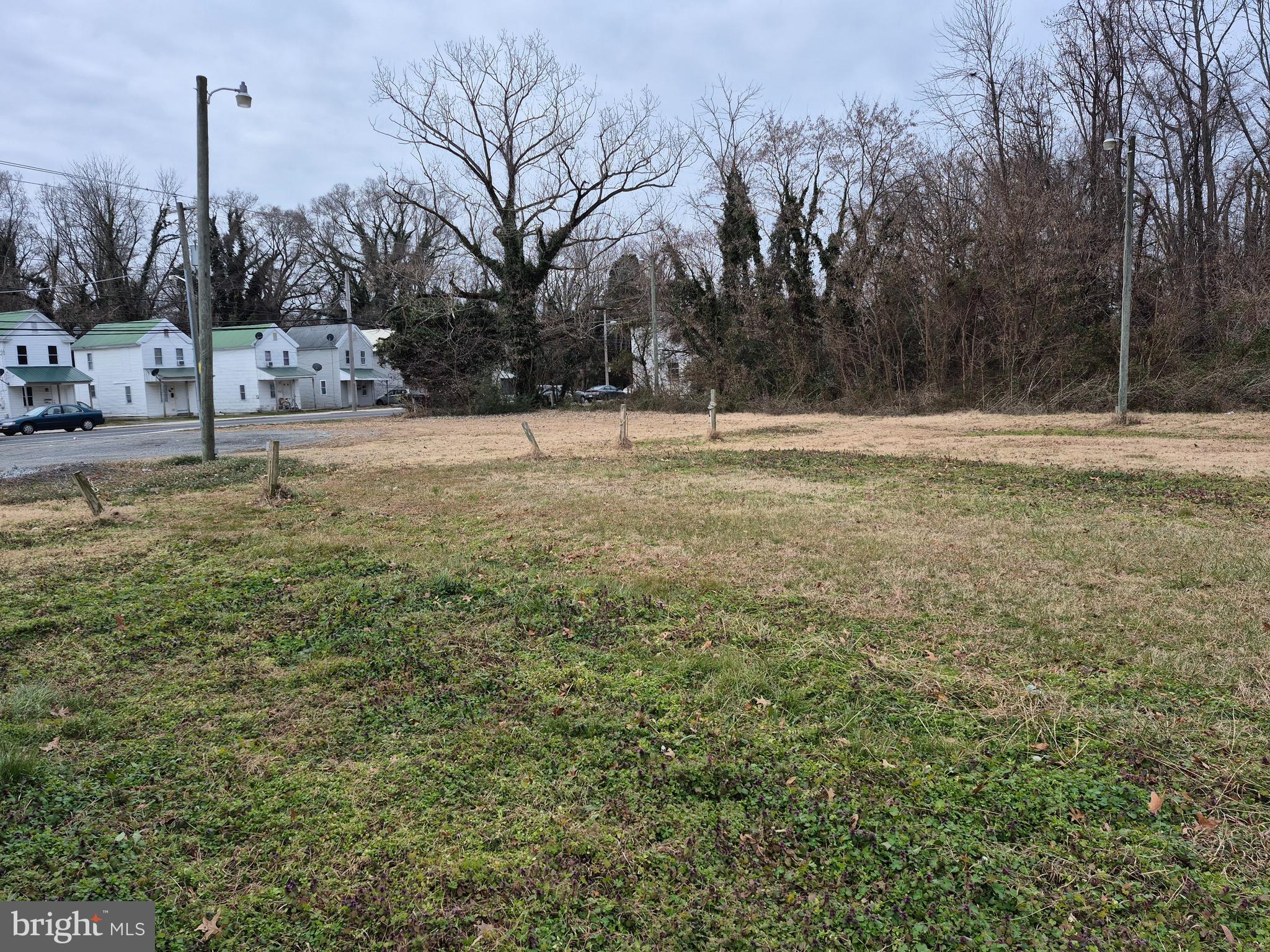 High Street Cambridge, MD 21613 - Photo 6 of 6 a view of yard with tree