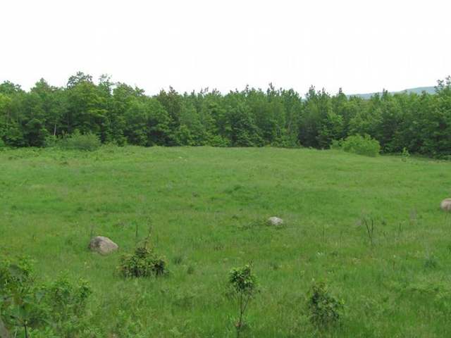 Lot 7 Island View Road Bayfield, WI 54814 - Photo 5 of 10 Gallery Image 5