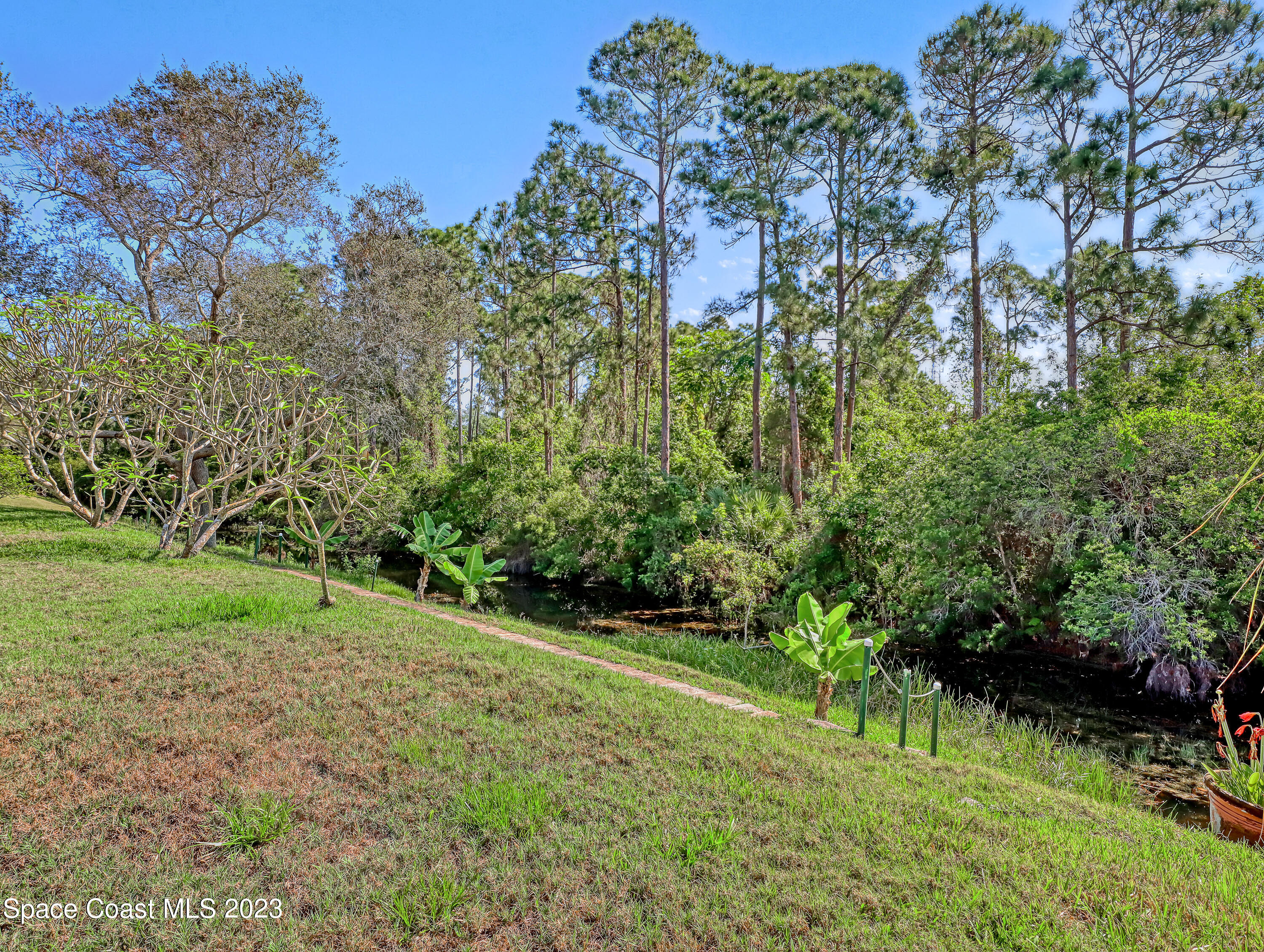 705 Casa Grande Drive Melbourne, FL 32940 - Photo 29 of 32 a view of a garden with a tree