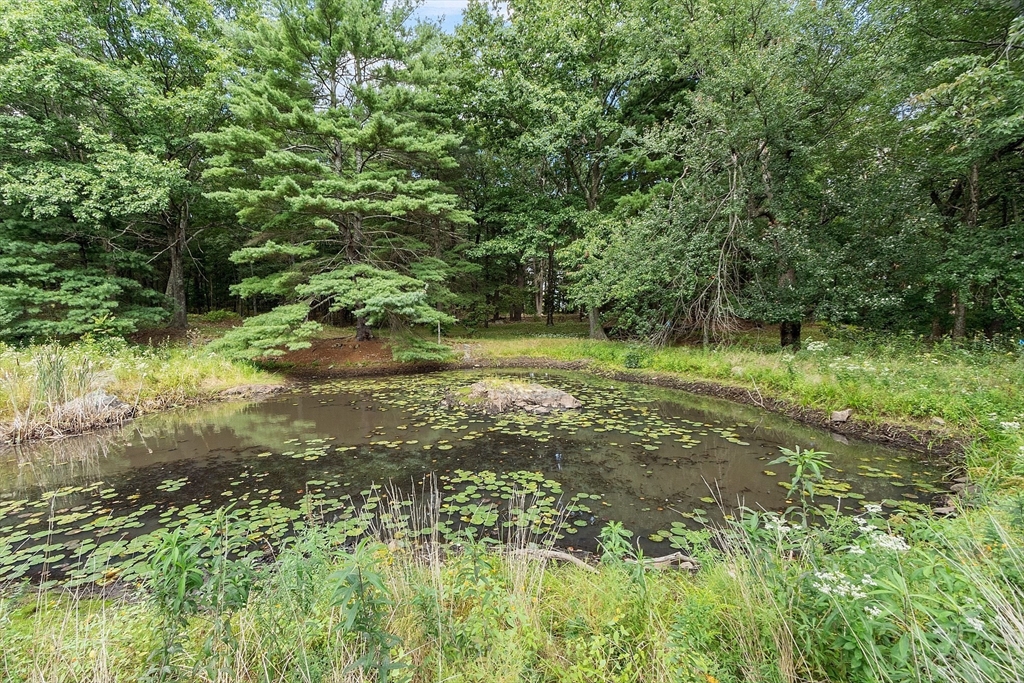129 Oak Hill Road Harvard, MA 01451 - Photo 21 of 24 a big yard with lots of green space and deers