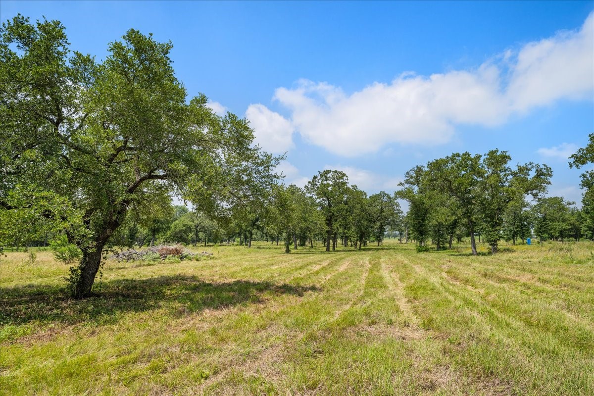 6900 Waldeck Cemetery Road Round Top, TX 78954 - Photo 9 of 24