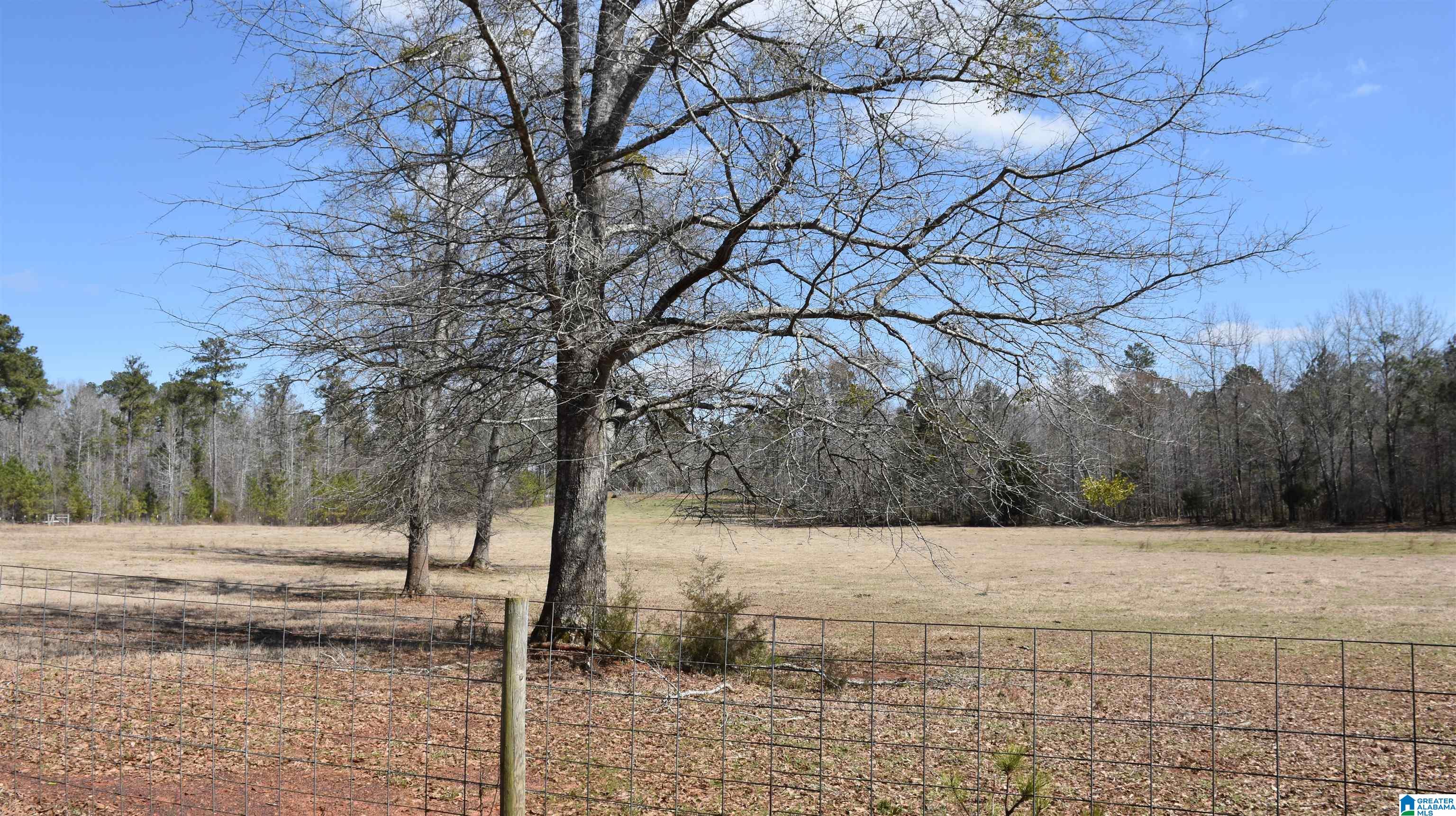 2003 New Maryland Road Alpine, AL 35014 - Photo 6 of 38