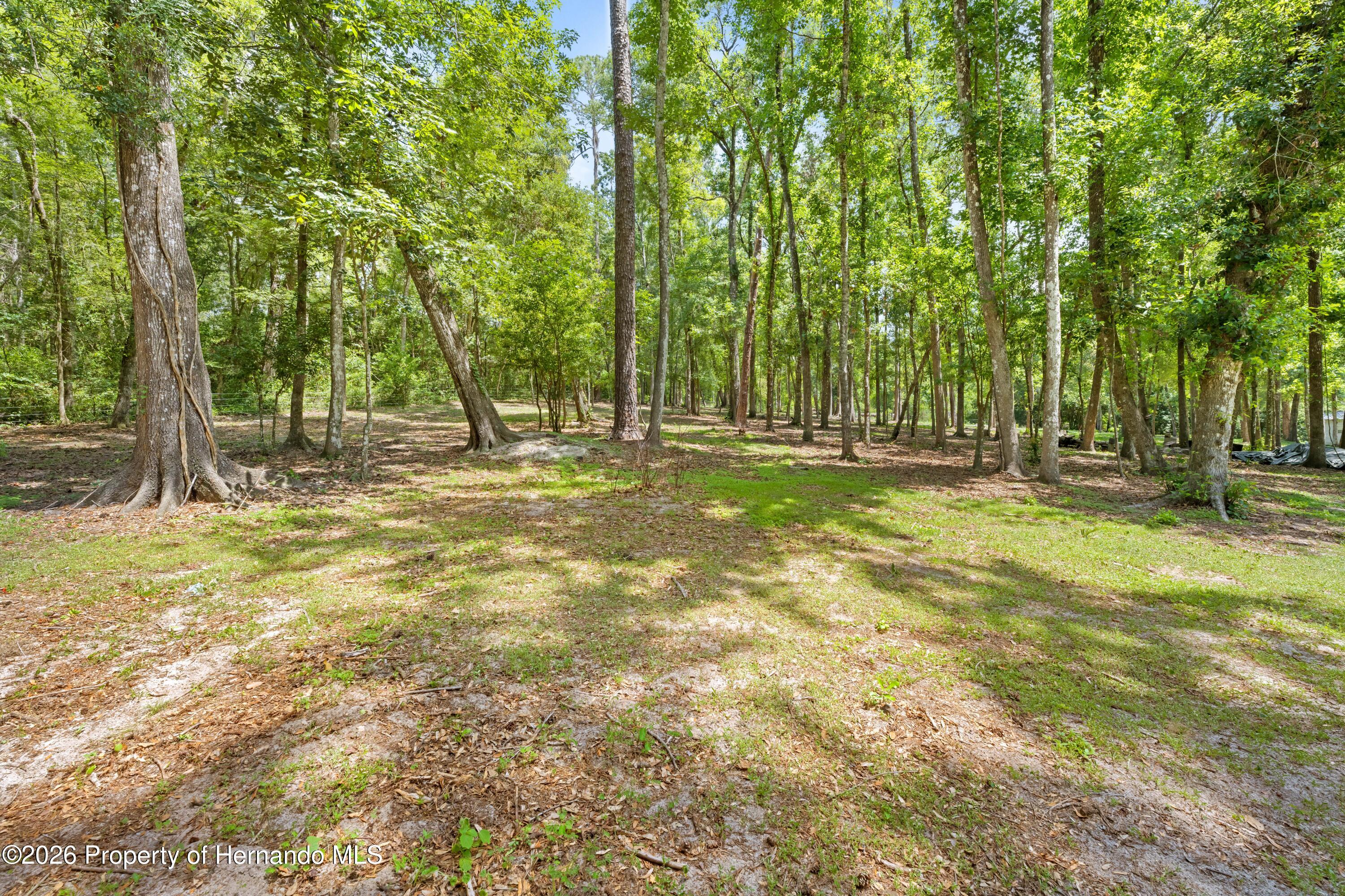 3311 Baseball Pond Road Brooksville, FL 34602 - Photo 5 of 18 a backyard of a house with lots of green space and fountain