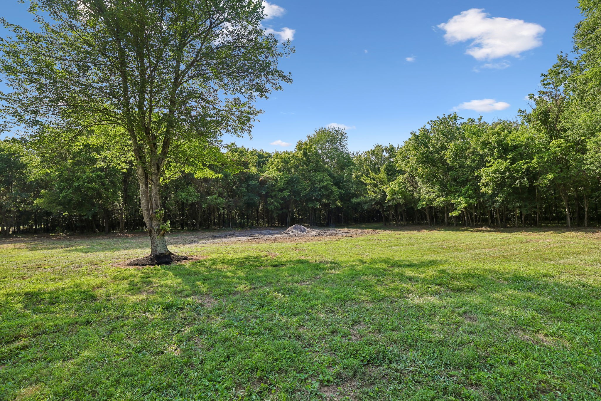 21 Vantrease Road Brush Creek, TN 38547 - Photo 11 of 98 Gallery Image 11