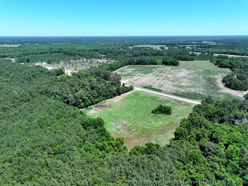 Sand Rock Road Fairmont, NC 28340 - Photo 2 of 16