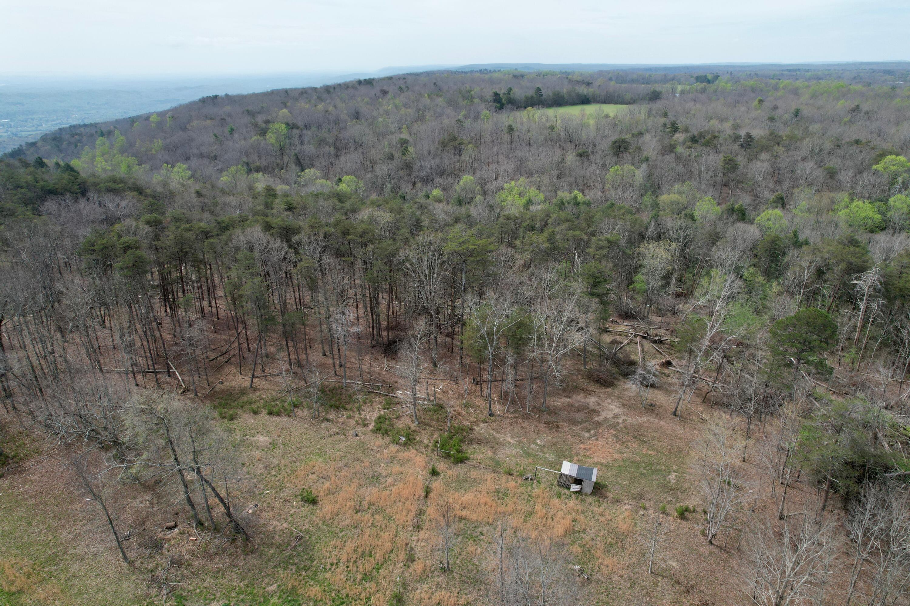 1026 Bluff View Road Dayton, TN 37321 - Photo 45 of 50 dji_fly_20260403_121156_276_177531667056