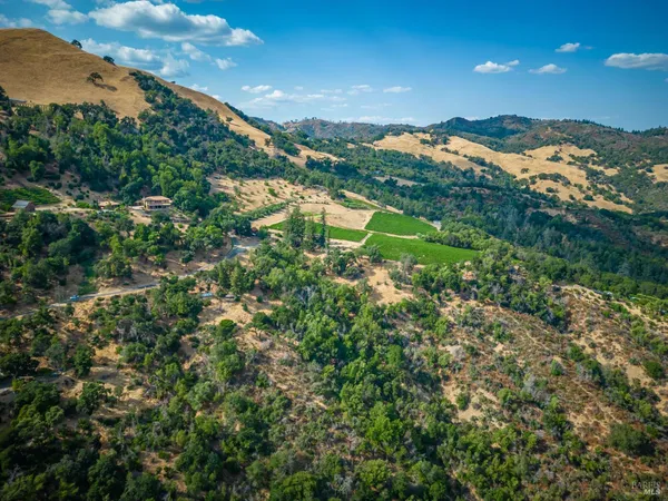 an aerial view of residential houses with outdoor space and trees