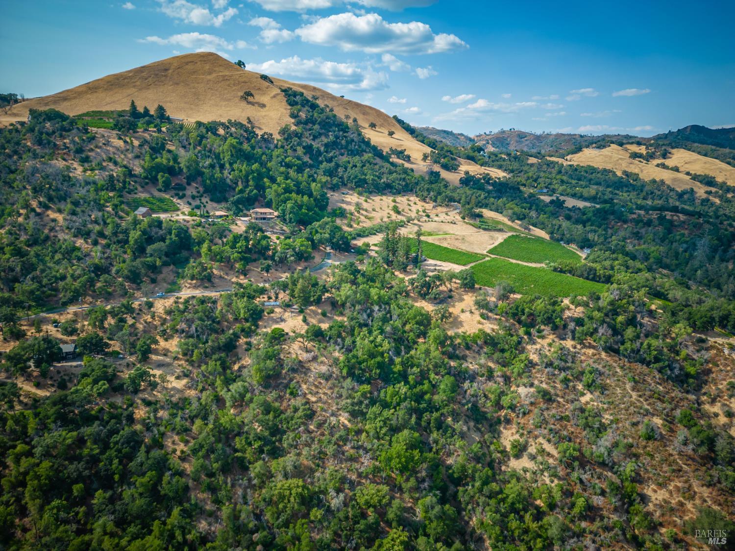 590 Wall Road Napa, CA 94558 - Photo 16 of 27 an aerial view of residential houses with outdoor space and trees