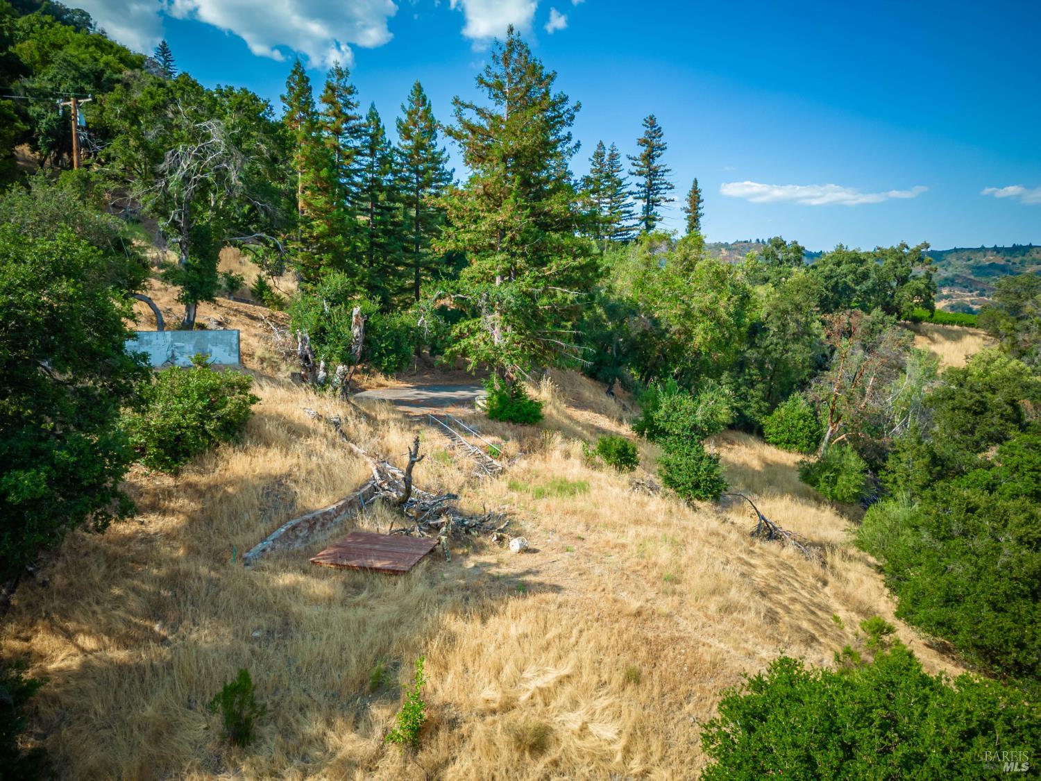 590 Wall Road Napa, CA 94558 - Photo 17 of 27 a view of a yard with plants and large trees