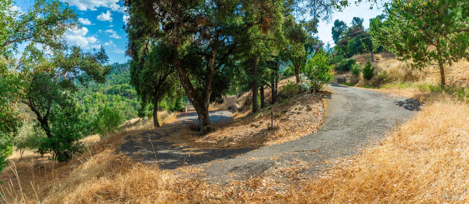 590 Wall Road Napa, CA 94558 - Photo 21 of 27 a view of a yard with trees