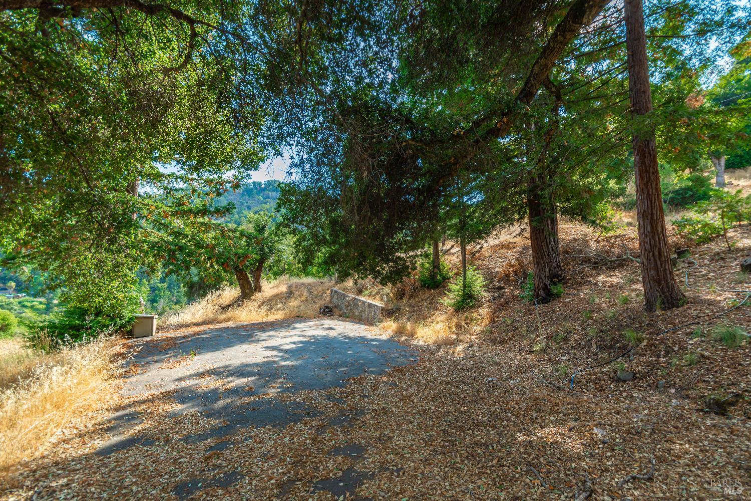 590 Wall Road Napa, CA 94558 - Photo 22 of 27 a view of a forest with trees in the background