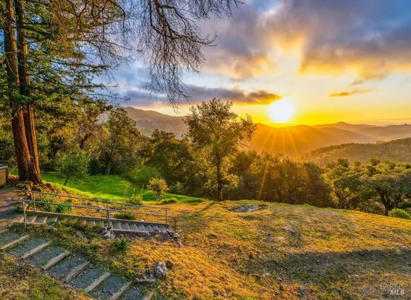 a view of backyard of the house