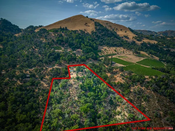 a view of yard with green space