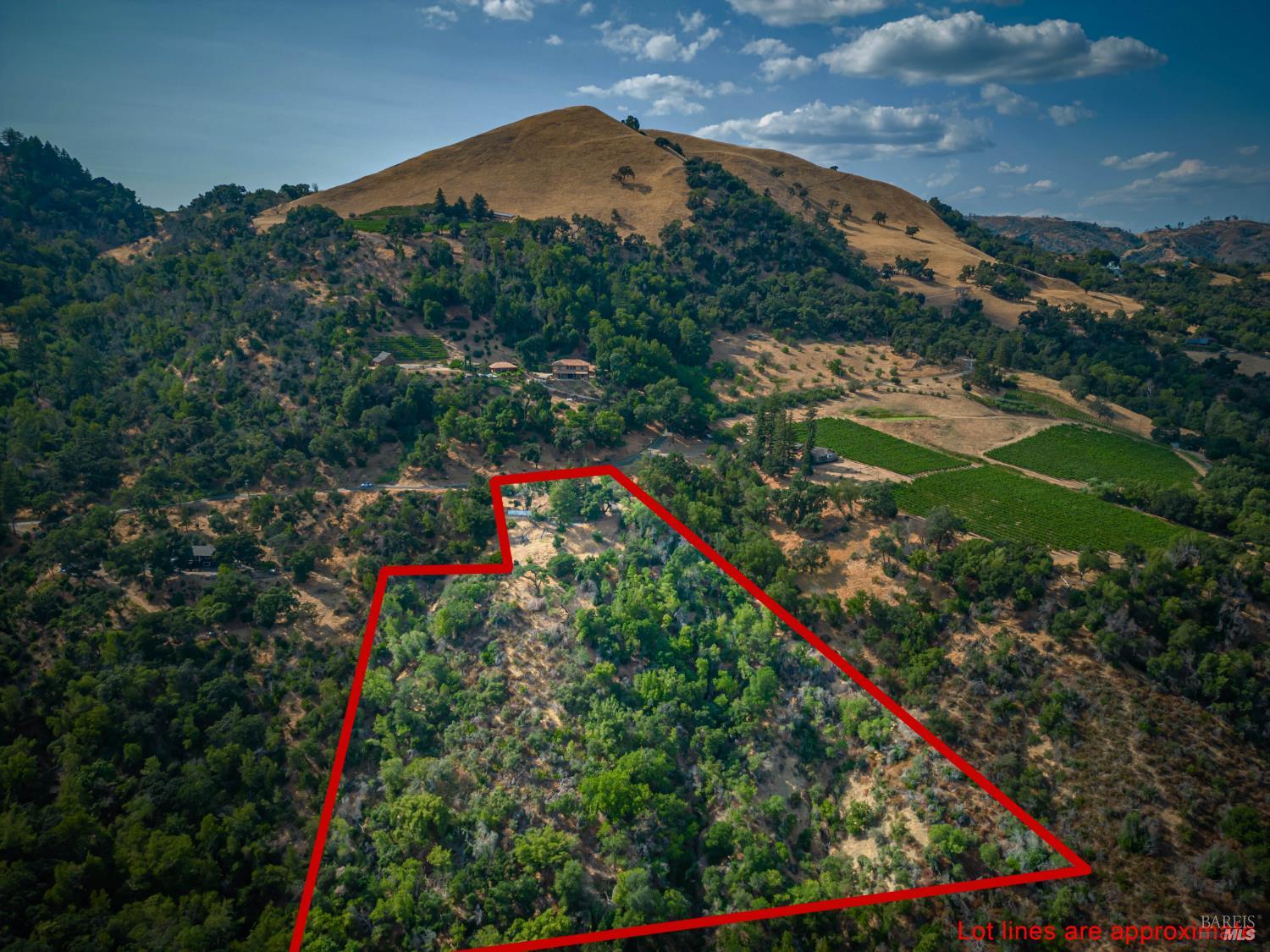 590 Wall Road Napa, CA 94558 - Photo 8 of 27