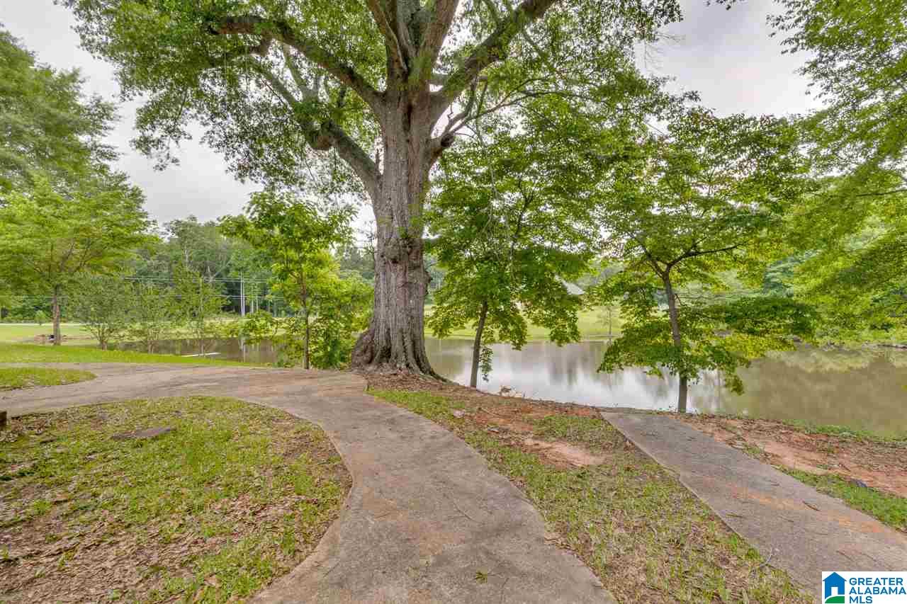 616 Wyatt Road Clanton, AL 35045 - Photo 39 of 46