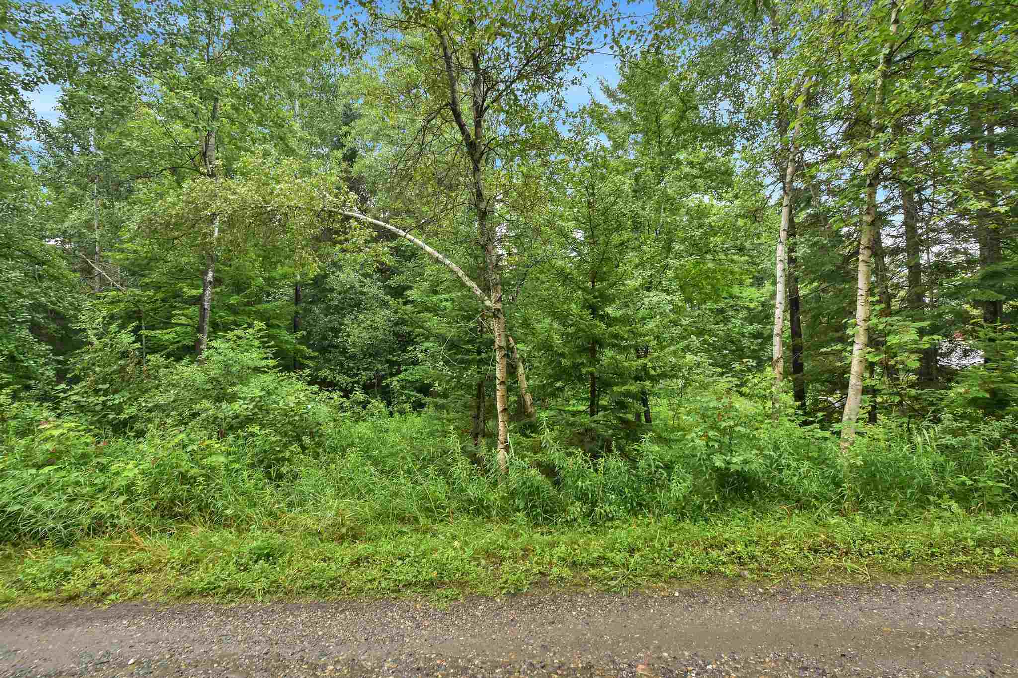 Tbd Applewood Road Warren, VT 05674 - Photo 3 of 20