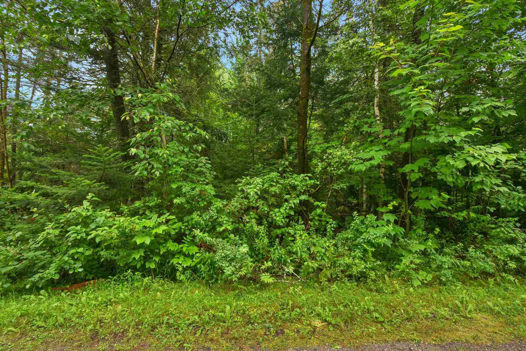 Tbd Applewood Road Warren, VT 05674 - Photo 4 of 20