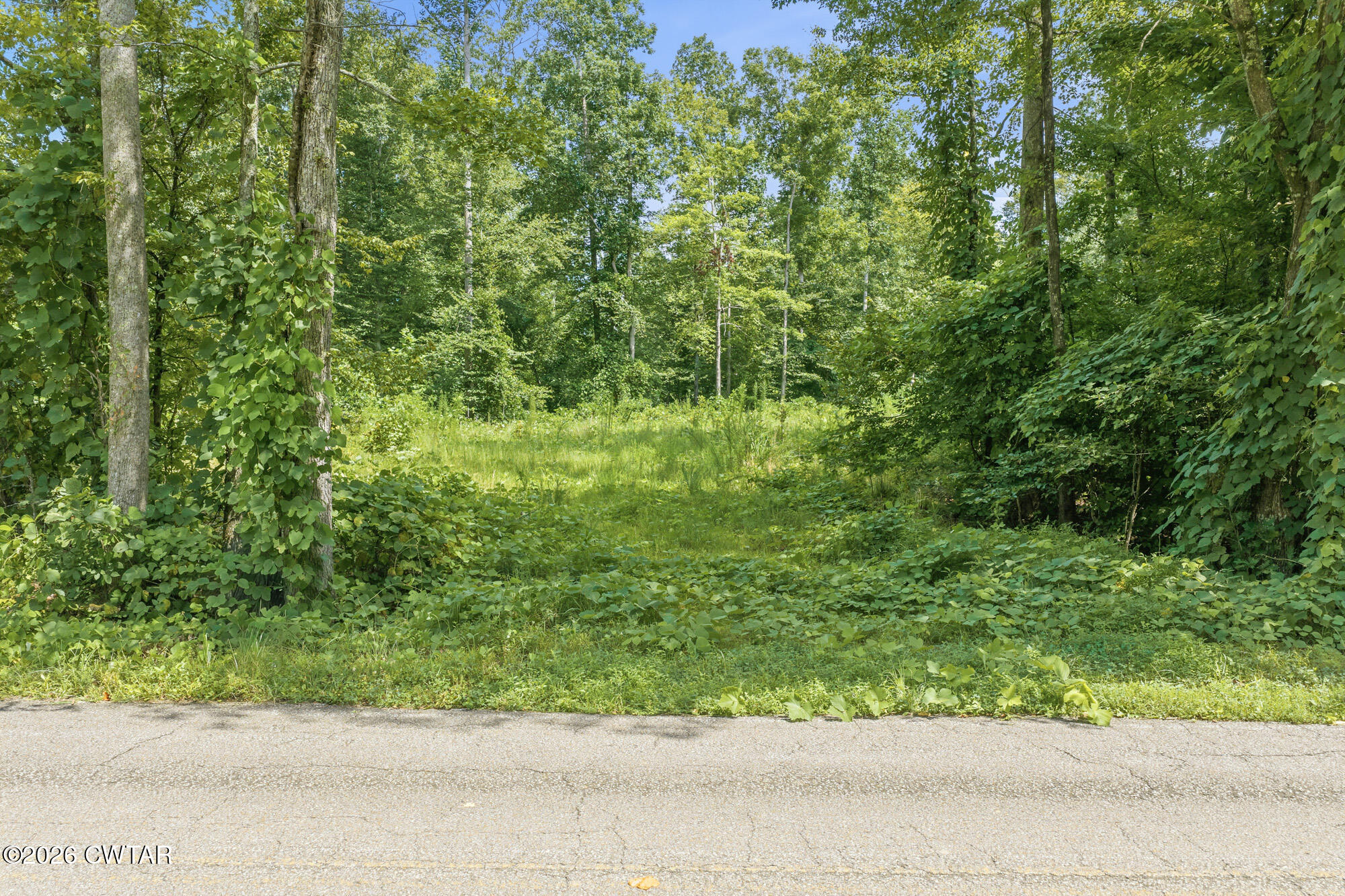 0 Holladay Road Parsons, TN 38363 - Photo 8 of 24 DJI_20260809142758_0660_D