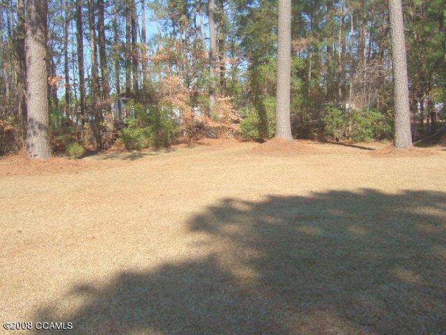 715 Dennis Road Jacksonville, NC 28546 - Photo 2 of 9 Backyard