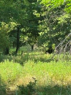 7 Barry Road Henrietta, TX 76365 - Photo 13 of 30