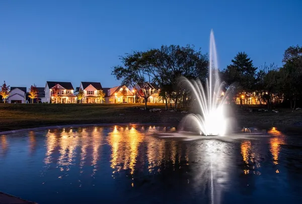 a view of a park with plants and trees