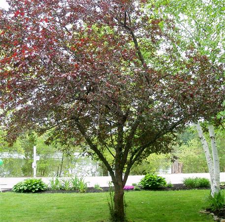 157 Kimball Road Amesbury, MA 01913 - Photo 18 of 20