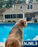 2 Overbrook Place Hillsdale, NJ 07642 - Photo 41 of 49 a view of a house with backyard and sitting area