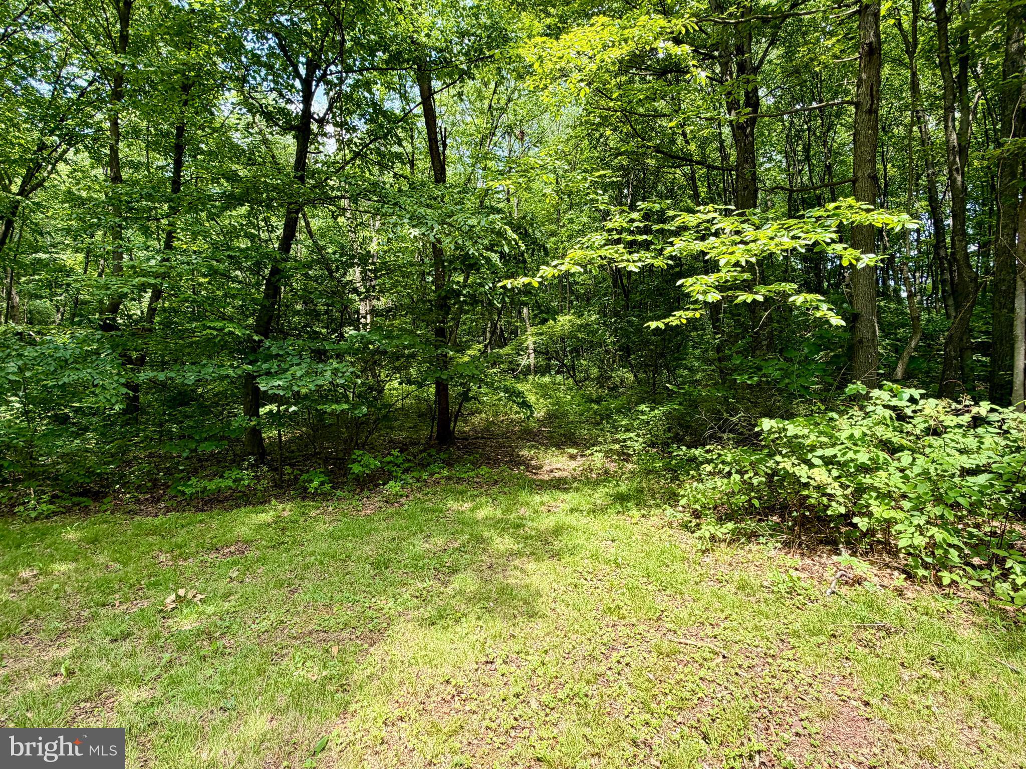 190 Thunder Rock Road Crystal Spring, PA 15536 - Photo 26 of 27