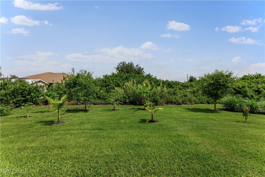 3002 42nd Street Southwest Lehigh Acres, FL 33976 - Photo 22 of 25 a view of a field with a tree in it