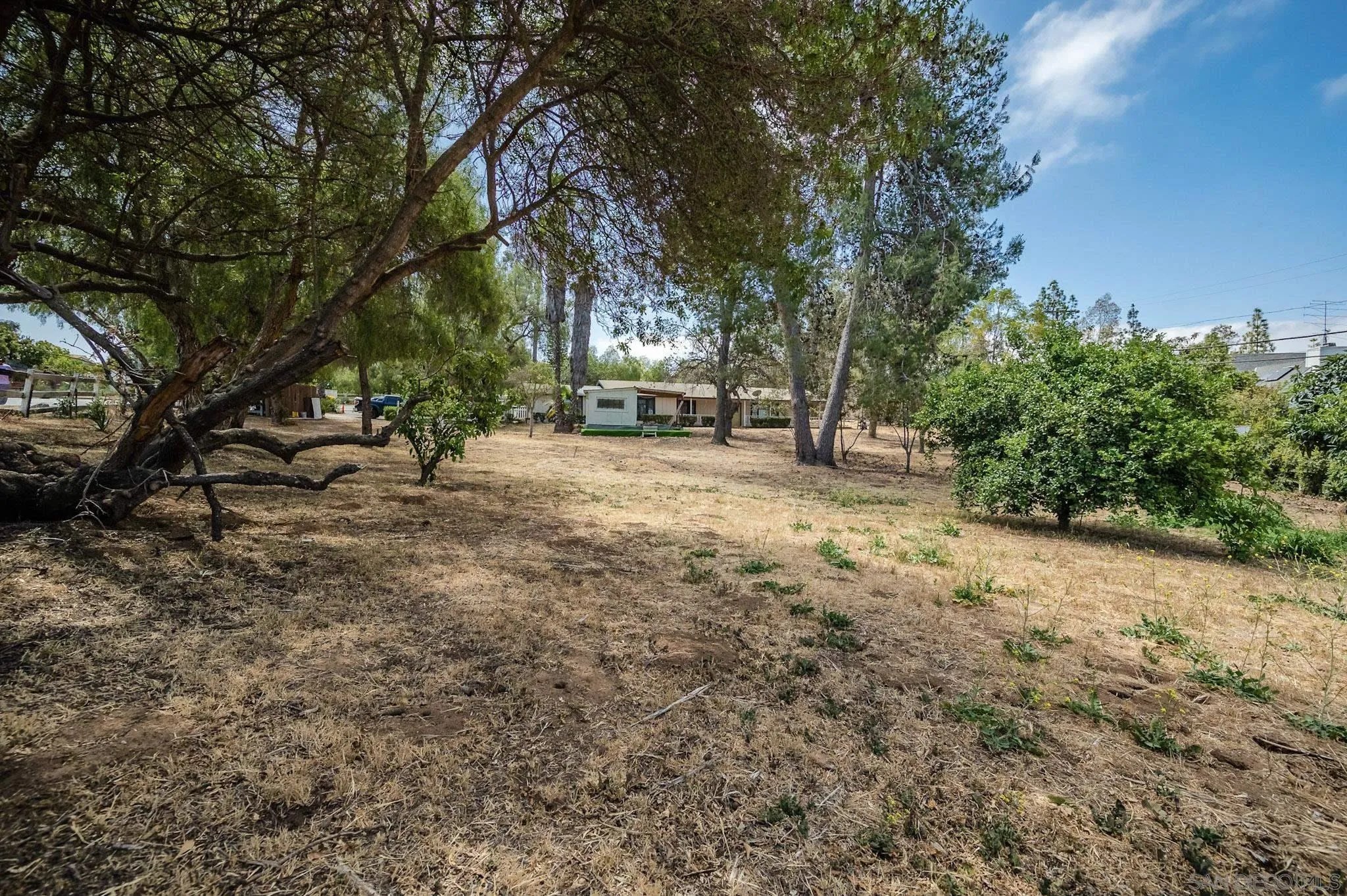 1367 Green Canyon Road Fallbrook, CA 92028 - Photo 37 of 42 a view of a yard with a tree