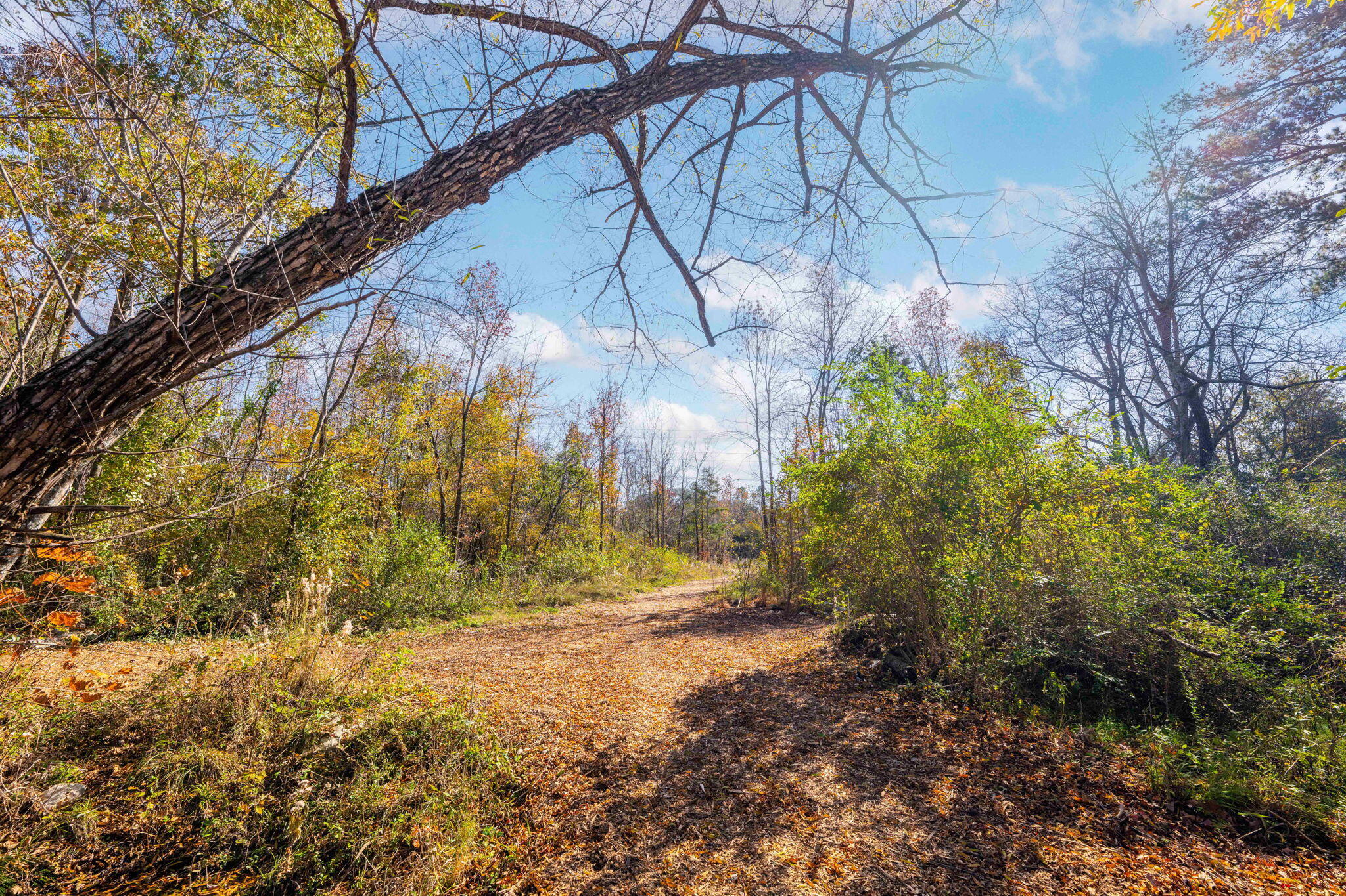 1548 Bourbon Way Chattanooga, TN 37421 - Photo 54 of 58 60-web-or-mls-DSC_8309-86