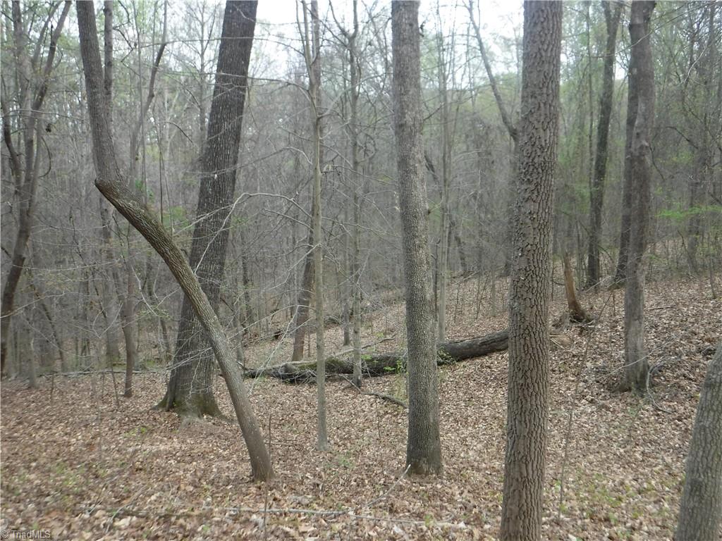 5628 Old Rural Hall Road Winston-Salem, NC 27105 - Photo 3 of 10 Gallery Image 3