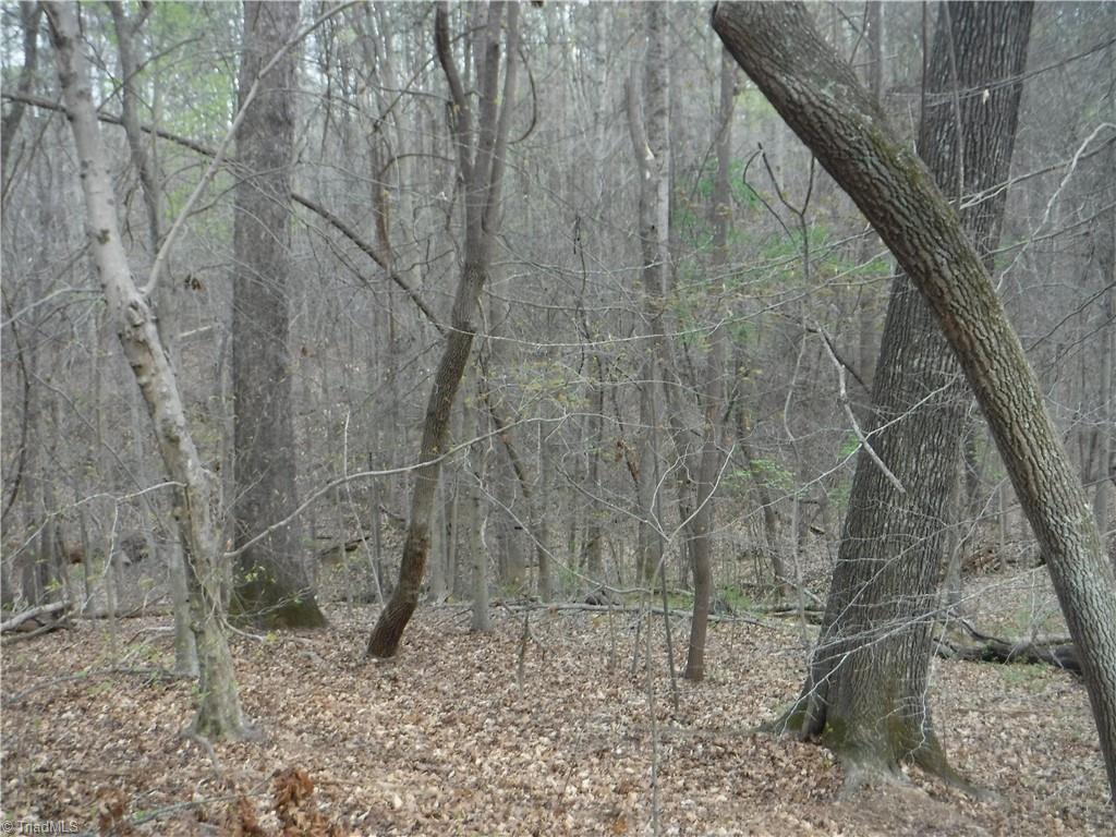 5628 Old Rural Hall Road Winston-Salem, NC 27105 - Photo 4 of 10 Gallery Image 4