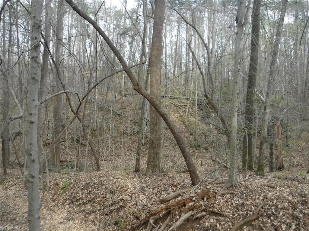 5628 Old Rural Hall Road Winston-Salem, NC 27105 - Photo 5 of 10 Gallery Image 5
