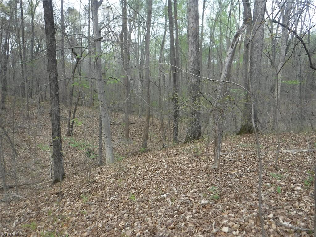 5628 Old Rural Hall Road Winston-Salem, NC 27105 - Photo 7 of 10 Gallery Image 7
