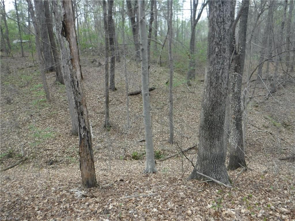 5628 Old Rural Hall Road Winston-Salem, NC 27105 - Photo 8 of 10 Gallery Image 8