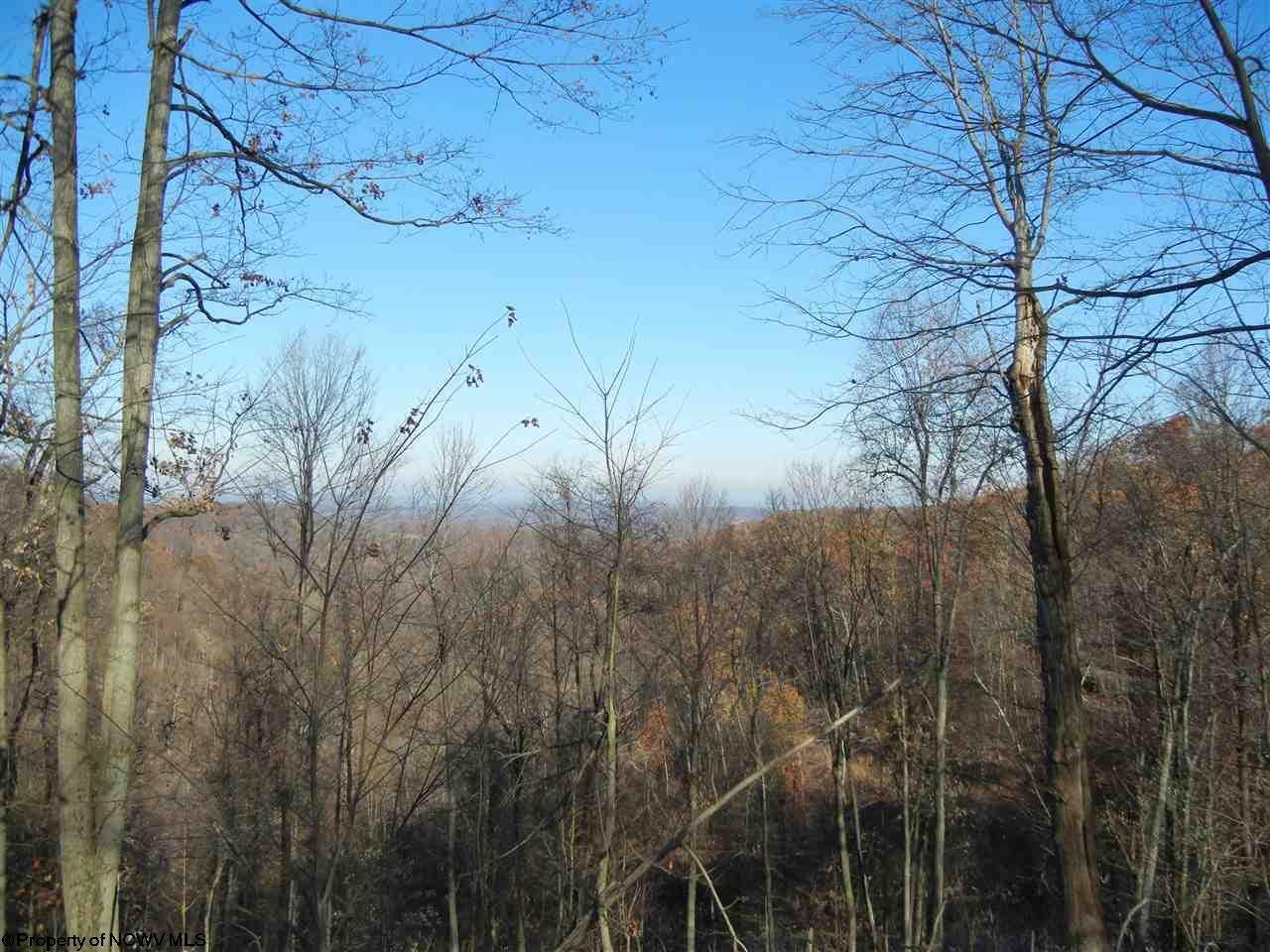 2101 Halleck Road Independence, WV 26374 - Photo 8 of 19 Gallery Image 8