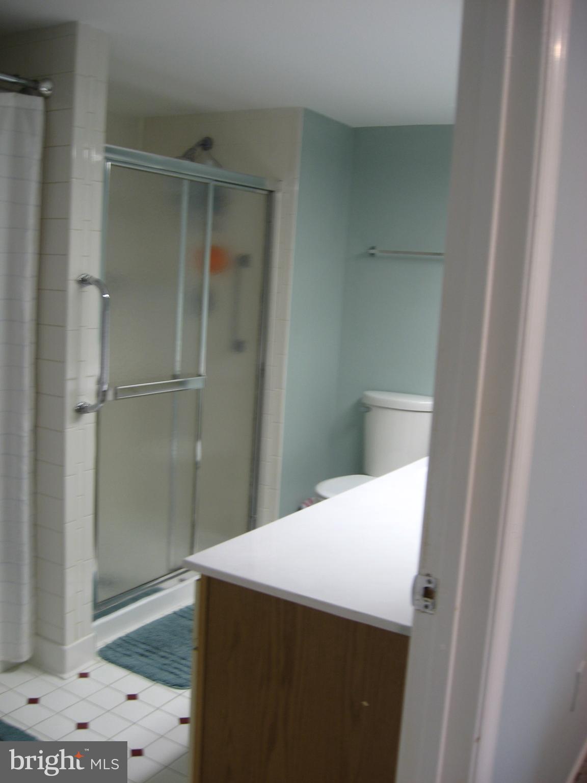 2901 Fallstaff Road, Unit 102 Baltimore, MD 21209 - Photo 18 of 28 Huge on suite bath with separate tub and shower!