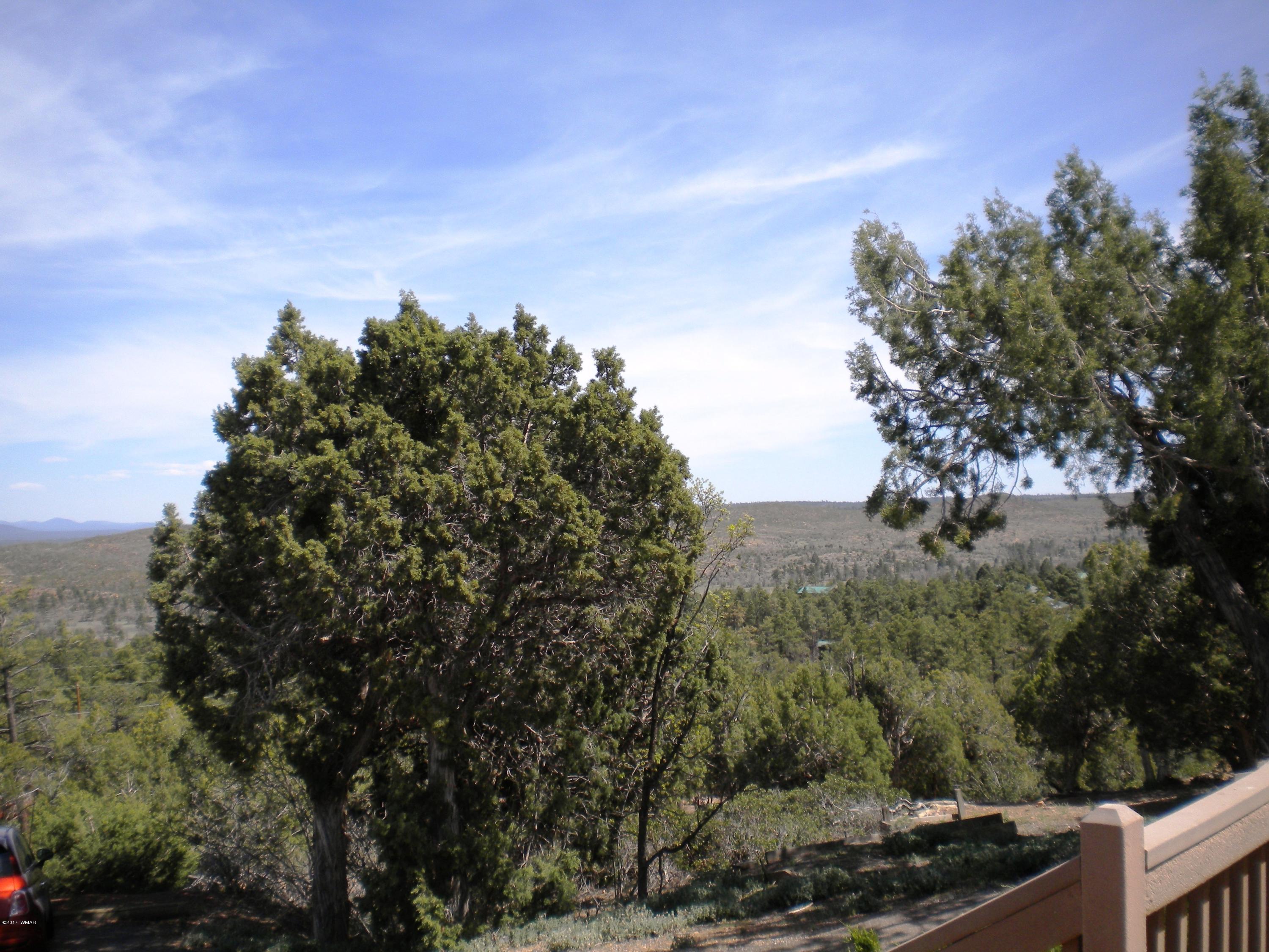 6359 Deer Run Road Show Low, AZ 85901 - Photo 33 of 43 Gallery Image 33