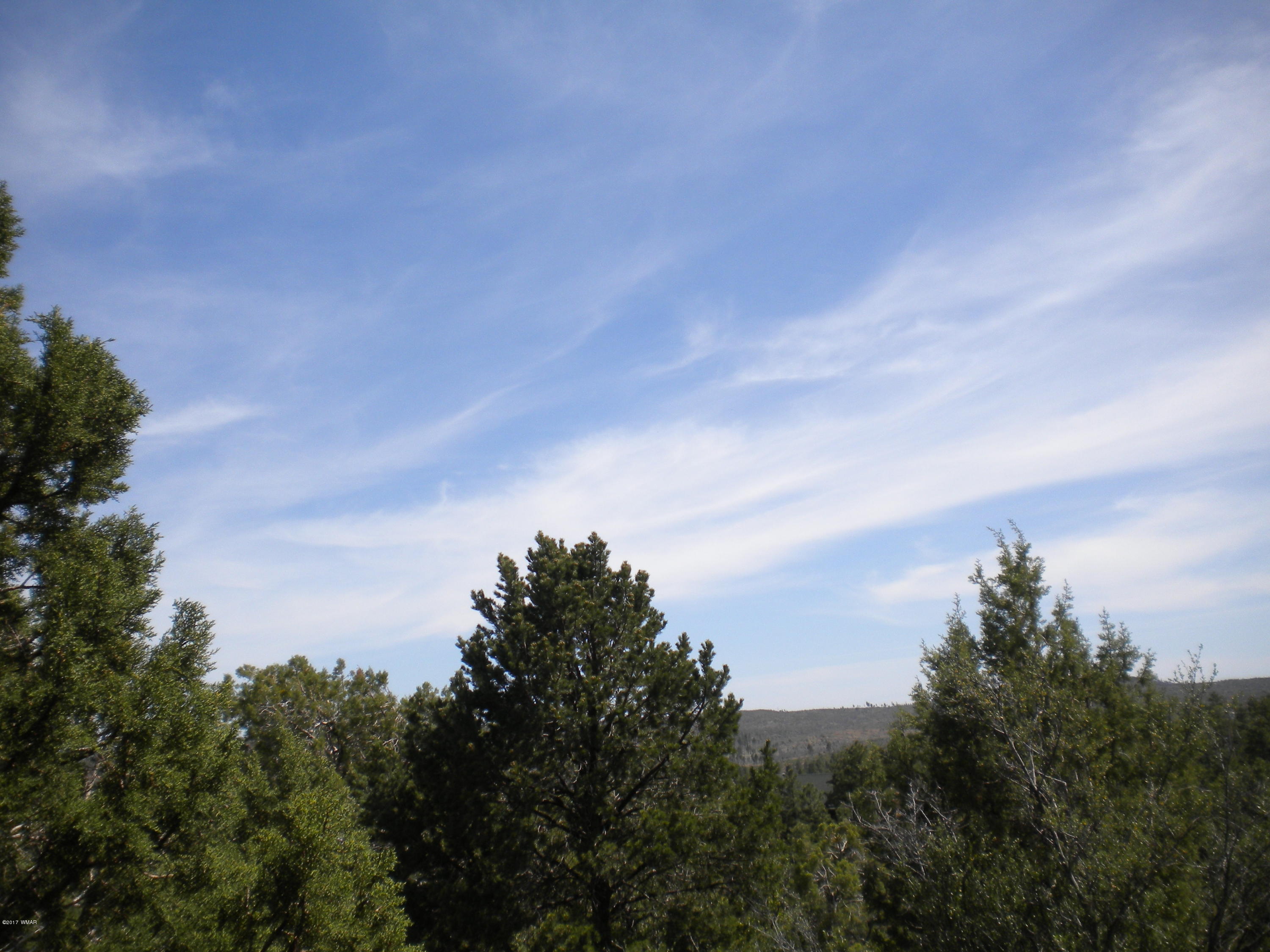 6359 Deer Run Road Show Low, AZ 85901 - Photo 41 of 43 Gallery Image 41