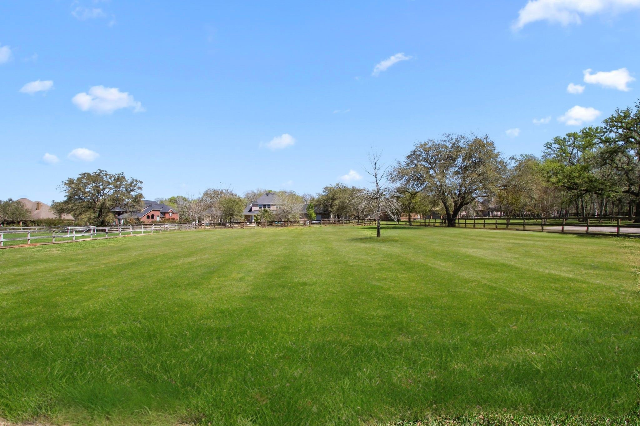 3610 Wellspring Lake Drive Fulshear, TX 77441 - Photo 37 of 45 a view of yard with green space
