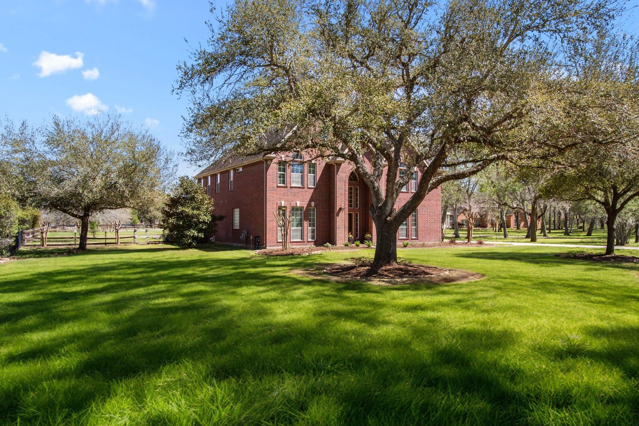 3610 Wellspring Lake Drive Fulshear, TX 77441 - Photo 4 of 45 a tall tree in middle of green field