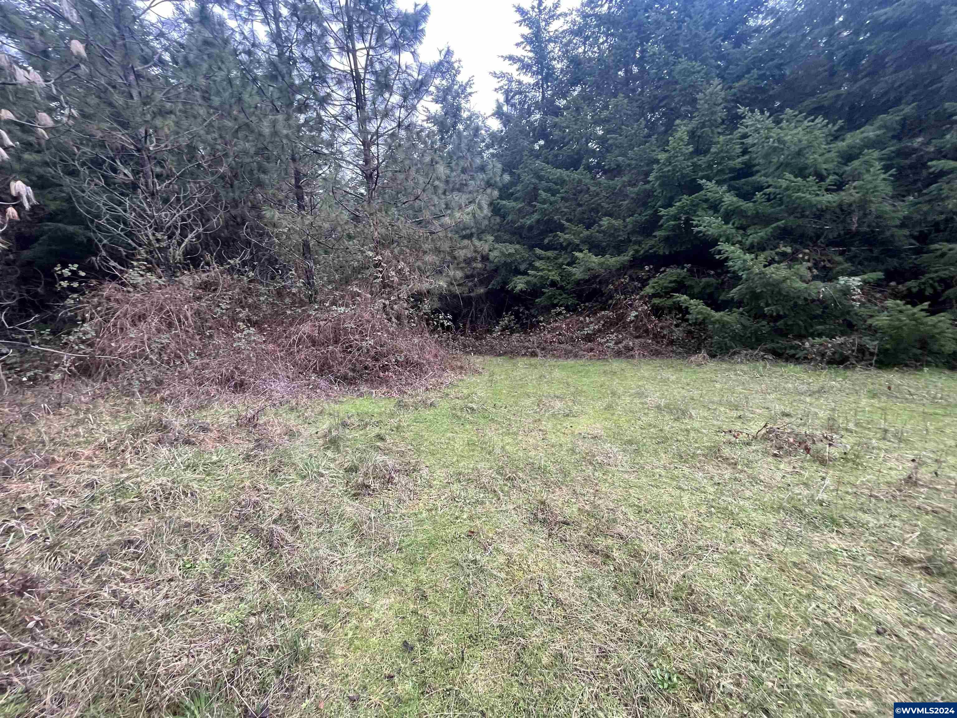 602 Santiam Terrace Road Lebanon, OR 97355 - Photo 7 of 10