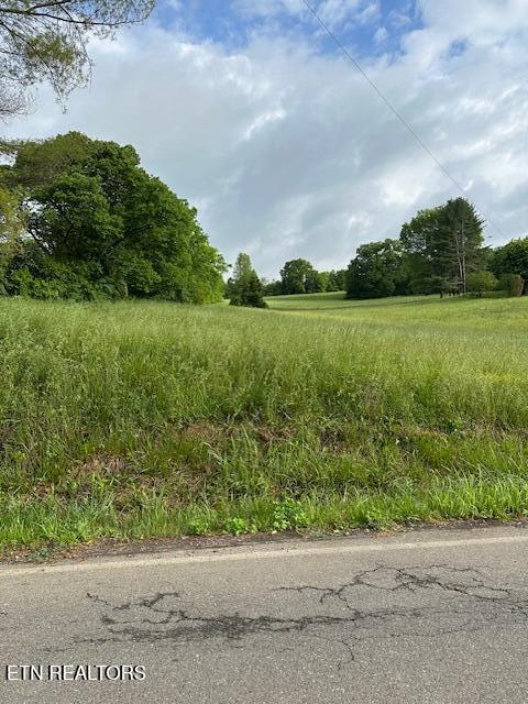 1101 Fowler Grove Road Bybee, TN 37713 - Photo 1 of 12 IMG_2139