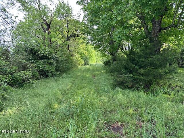 1101 Fowler Grove Road Bybee, TN 37713 - Photo 12 of 12 IMG_2152