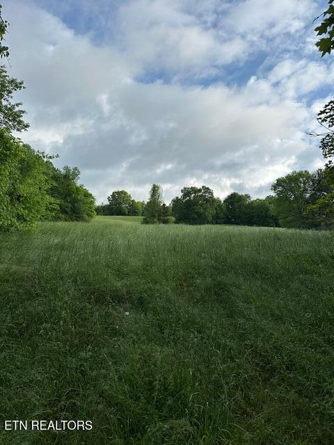 1101 Fowler Grove Road Bybee, TN 37713 - Photo 2 of 12 IMG_2141