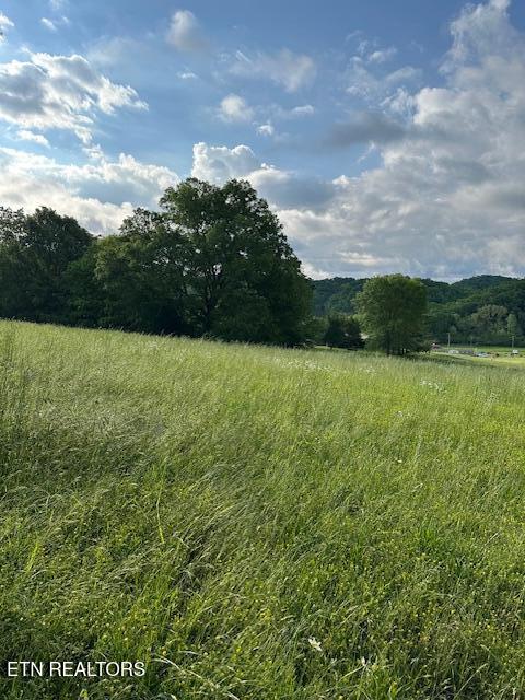 1101 Fowler Grove Road Bybee, TN 37713 - Photo 6 of 12 IMG_2145